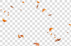 Leaves Falling Png   Overlay Fall Leaves Png  Transparent Png