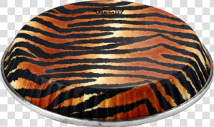 Remo Symmetry Skyndeep Conga Drumhead tiger Stripe  HD Png Download