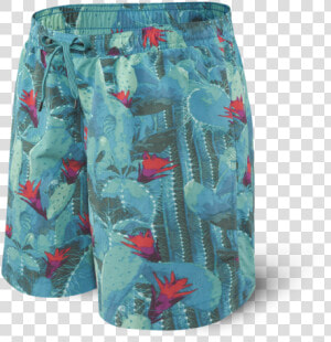 Saxx Cannonball 2n1 Short Green Cactus   Saxx Cactus Swim Shorts  HD Png Download