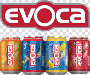 Evoca Logo Cans Png   Coca cola  Transparent Png