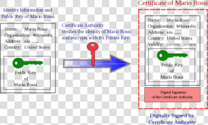 What Is A Certificate Authority   Public Key Certificate  HD Png Download