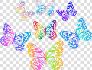 Decorative Multicolored Butterflies Png Clip Art   Multi Colored Butterfly Hd Png  Transparent Png