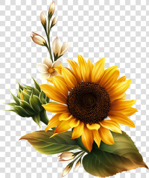 Sunflower Watercolor Png   Real Sunflower Transparent Background  Png Download