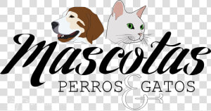 Mascotas  Perros  amp  Gatos  HD Png Download