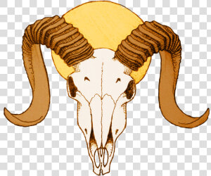 Goat Animal clip Antelope   Skull Goat Horns Drawing  HD Png Download