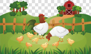 Animal Farm Chicken Rooster Poultry Farming   Poultry Farm Png  Transparent Png