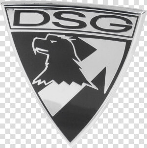 Picture Of Dsg Badge Car Identification Emblem   Silver Shield Car Logo  HD Png Download