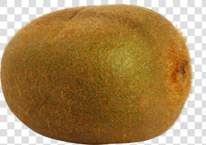 Kiwi Fruit Png File   Real Kiwi Png  Transparent Png