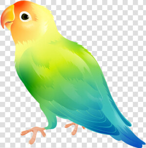 Parrot Bird Png Clip Art Imageu200b Gallery Yopriceville   Bird Clipart Transparent Background  Png Download