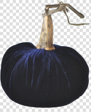 Midnight Blue Velvet Pumpkin With Real Stem   Velvet Pumpkin Png Transparent Background  Png Download