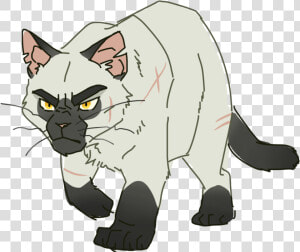 100 Warrior Cats Challenge  HD Png Download