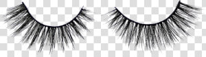 Eyelash Extensions  HD Png Download