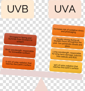 Uva Vs Uvb Comparison   Triangle  HD Png Download