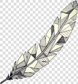 Clip Art Feather Sketch   Geometric Feather Tattoo  HD Png Download