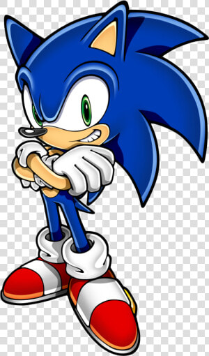 Sonic The Hedgehog Png 11 Png   Sonic The Hedgehog Arms Crossed  Transparent Png