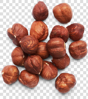 Hazelnut With Transparent Background  HD Png Download