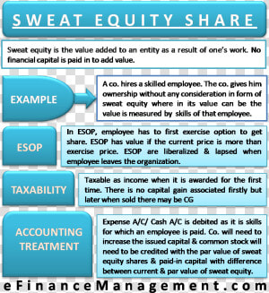 Sweat Equity Share And Esop   Sweat Equity Shares Meaning  HD Png Download