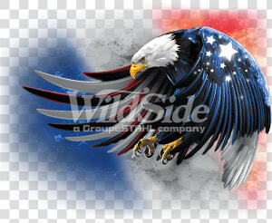 Usa Eagle Flying Red White  amp  Blue United States   Png  Transparent Png