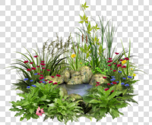  water  rocks  flowers  grass  nature   Flower Grass Water Png  Transparent Png