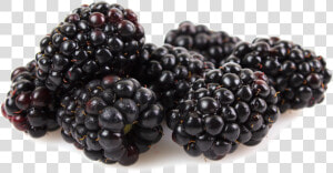 Boysenberry  HD Png Download