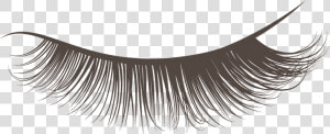 Best Lashcraft Eyelash Extensions   Transparent Background Lashes Clipart  HD Png Download