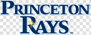 Princeton Rays  HD Png Download