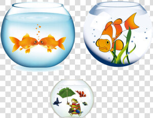 Transparent Fish Tank Png   Fish Aquarium Vector     Png Download