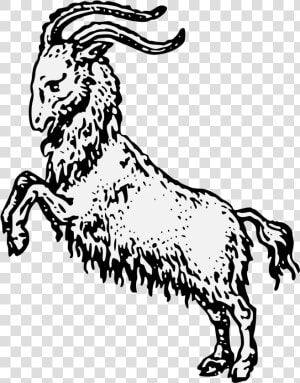 Goat Heraldry  HD Png Download