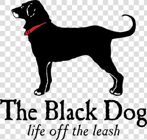 Black Dog Tavern  HD Png Download