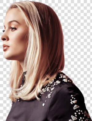 Zara Larsson Png  Transparent Png