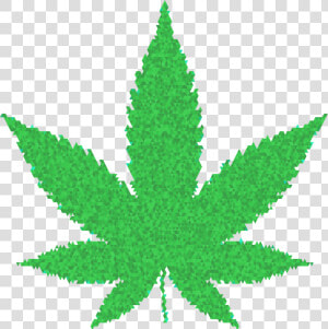 Weed Leaf  Weed Plant Vector Result Cliparts For Weed   Green Marijuana Leaf Png  Transparent Png