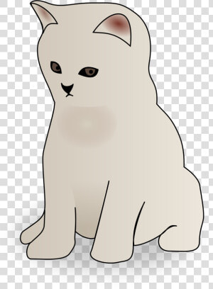 Transparent Kittens Png   Clipart Kitten  Png Download