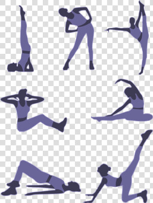 Fitness Exercises  HD Png Download