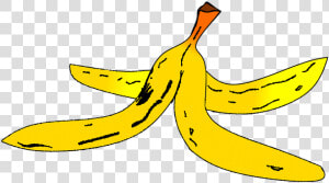 Banana Peel Cliparts 1  Buy Clip Art   Banana Peel Clipart Png  Transparent Png