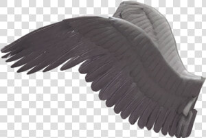 Wings Transparent Side   Angel Wings Side View Png  Png Download