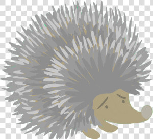 Porcupine  HD Png Download