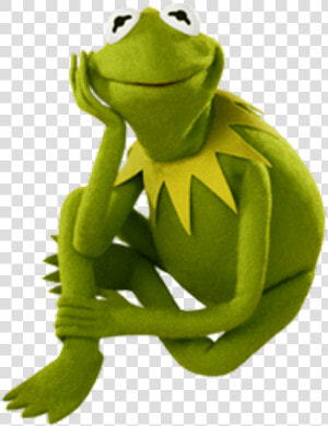 Kermit The Frog Png   Lustige Frosch Bilder Mit Spruch  Transparent Png