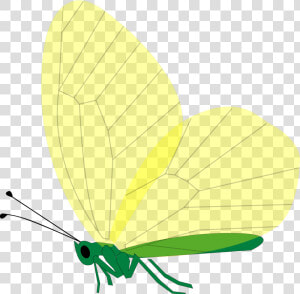 Borboleta Verde Voando Png  Transparent Png