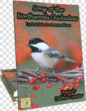 Song Of The Northwoods Chickadees By Debbie Center   Music  HD Png Download