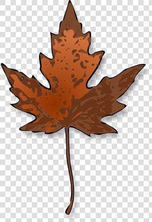 Maple Leaf Autumn   Maple Leaf Clip Art  HD Png Download