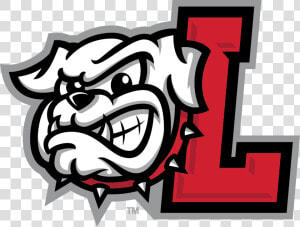 Lula Bulldog  HD Png Download