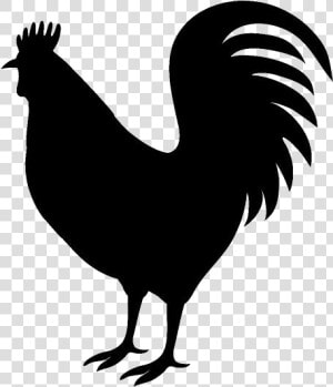 Rooster Drawing Png Transparent Images   Rooster Png  Png Download