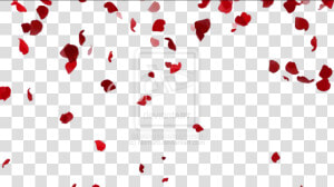 Clipart Resolution 1024 576   Flower Petals Falling Gif Transparent  HD Png Download