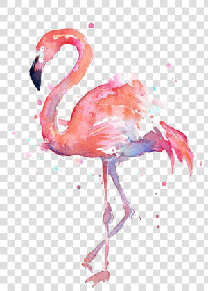 Flamingo Transparent High Resolution   Watercolor Flamingo  HD Png Download