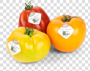 Tomato Png One   Heirloom Tomatoes Yellow Transparent  Png Download