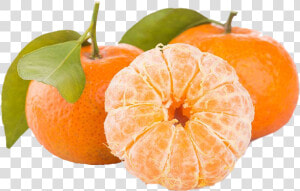 Mandarin Orange  HD Png Download