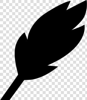 Feather Write Edit Draw Instrument   Drawing  HD Png Download