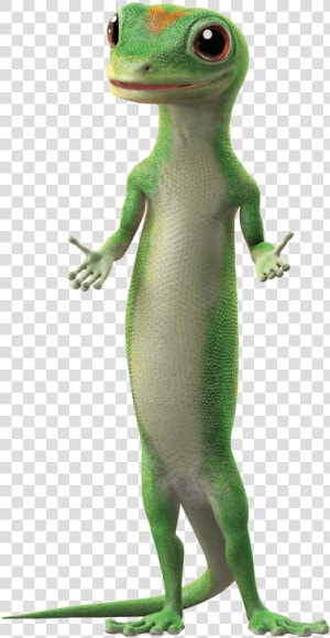 Geico Lizard  HD Png Download