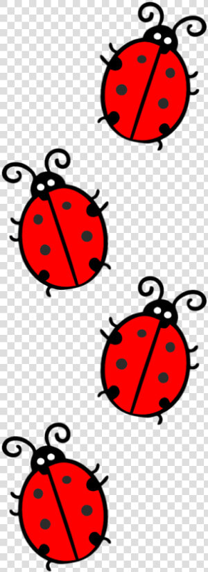 Transparent Background Ladybugs Clipart  HD Png Download