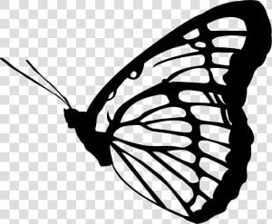 Monarch Butterfly Clipart Vector   Butterfly Vector Black And White  HD Png Download